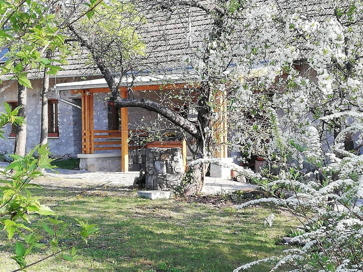 Karádi-Berger Vendégház Erdőbénye Extérieur photo