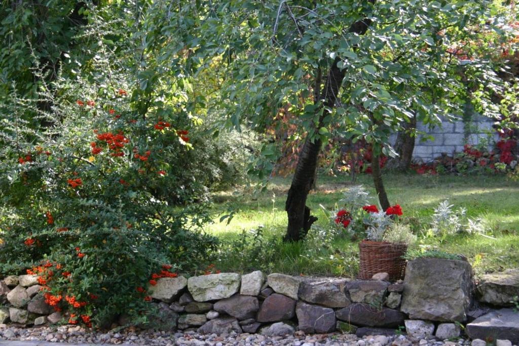 Karádi-Berger Vendégház Erdőbénye Extérieur photo