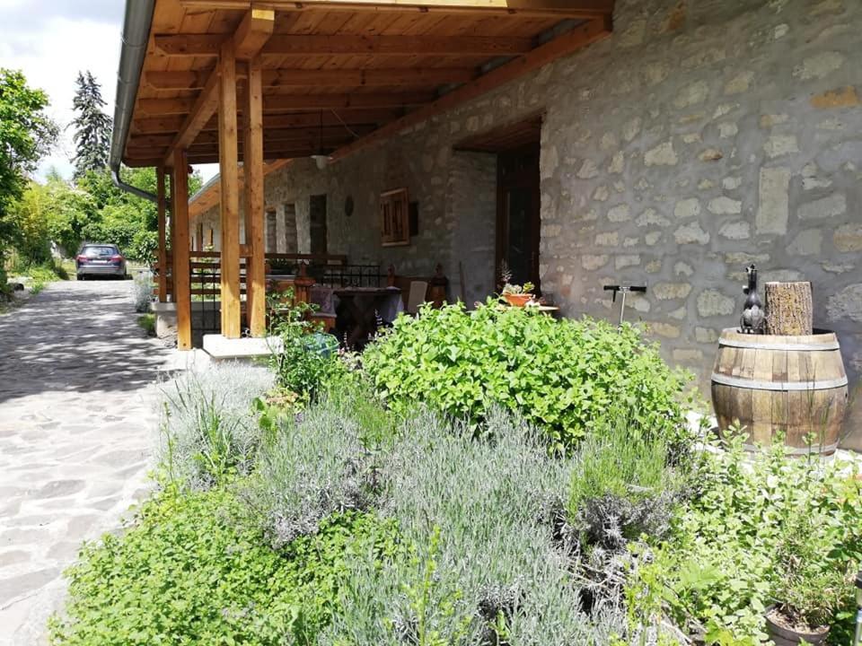 Karádi-Berger Vendégház Erdőbénye Extérieur photo