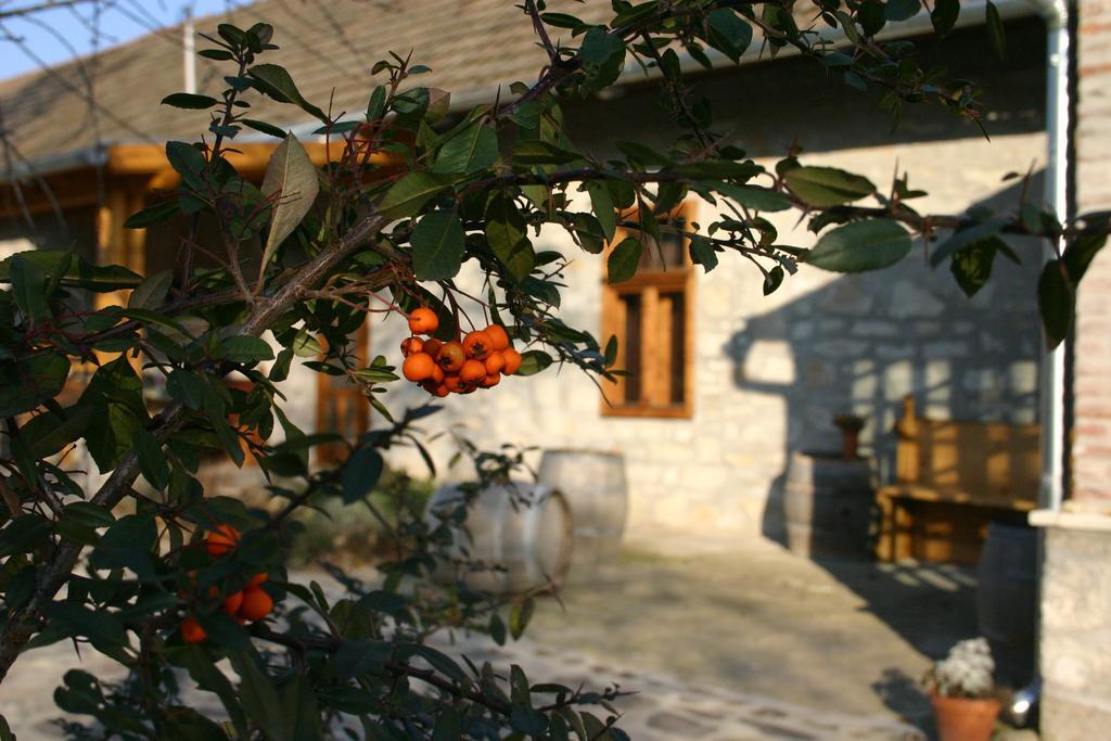 Karádi-Berger Vendégház Erdőbénye Chambre photo